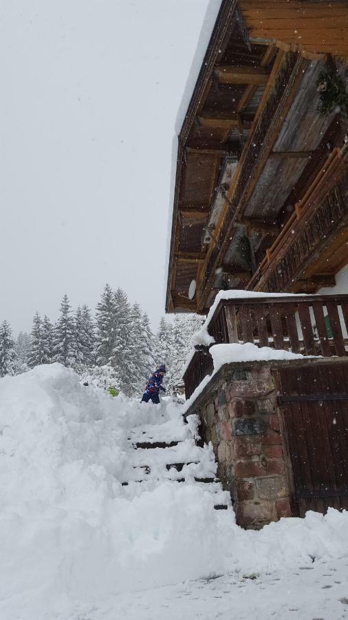 Oberseebachhof Scheffau am Wilden Kaiser Exterior photo